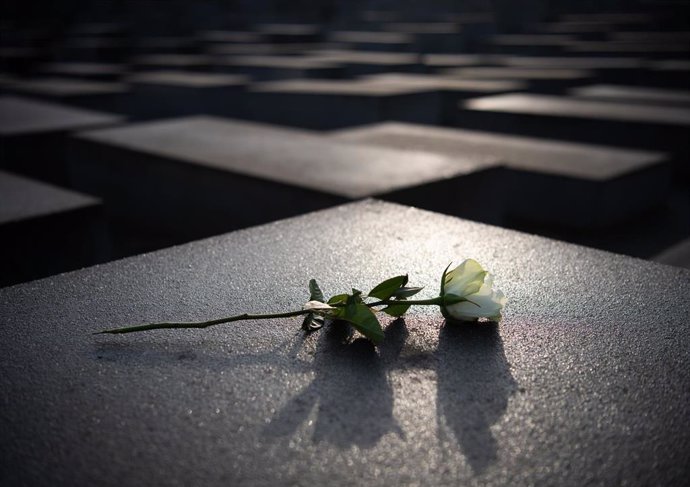Una rosa blanca yace en una de las estelas antes de la ceremonia del Día Internacional de Conmemoración del Holocausto.