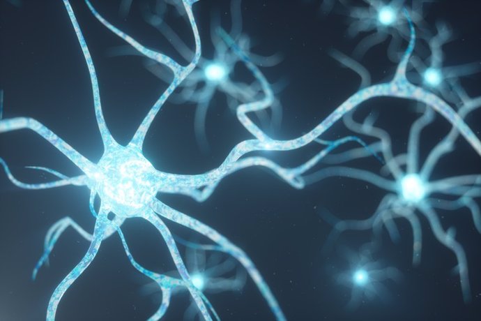 Nuevos aspectos en dolencias neurodegenerativas podrían ayudar a diseñar mejores