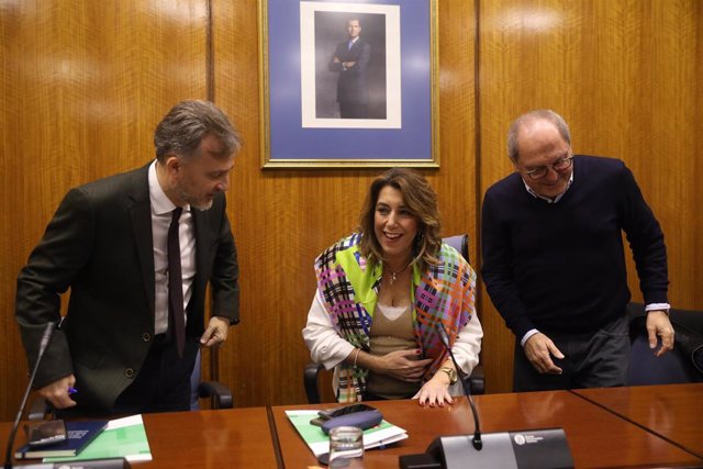 La secretaria general y presidenta del grupo parlamentario del PSOE-A, Susana Díaz, antes de intervenir en la reunión de los socialistas andaluces en el Parlamento