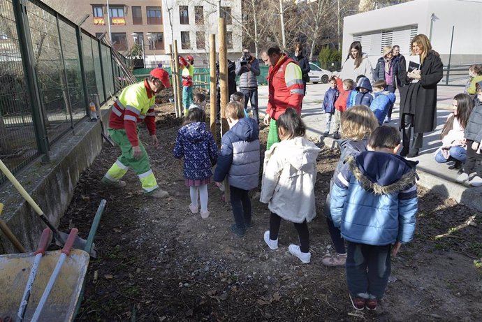 Imagen de la plantación de árboles en el colegio Fuentenueva