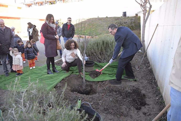 El concejal de Salud, Educación y Juventud en el Ayuntamiento de Granada, Carlos Ruiz Cosano, plantando un árbol