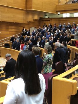 Minuto de silencio en el primer Pleno del Senado con Pedro Sánchez en 2018