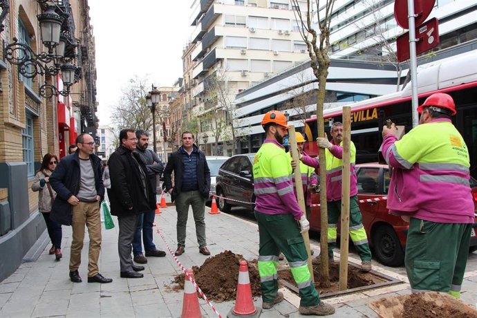 El delegado del Distrito Casco Antiguo, Juan Carlos Cabrera, durante la plantación de árboles en el centro