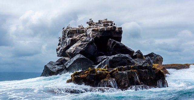 Roca en las Islas Galápagos