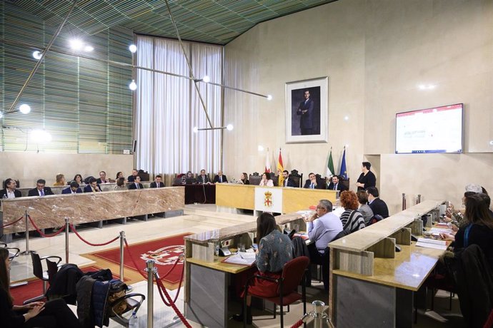 Pleno del Ayuntamiento de Almería