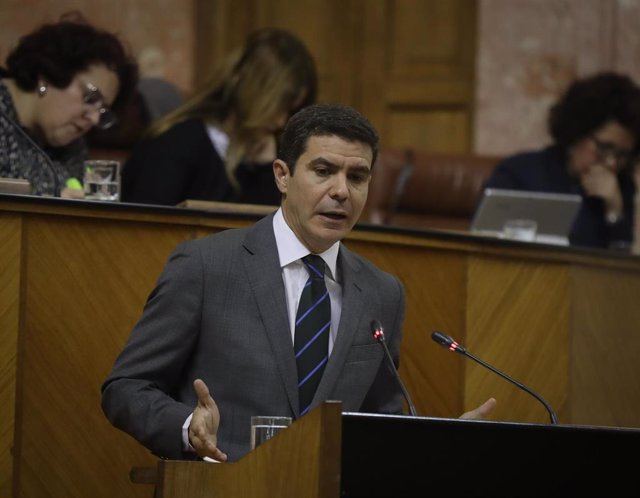 El portavoz de Ciudadanos (Cs) en el Parlamento andaluz, Sergio Romero.