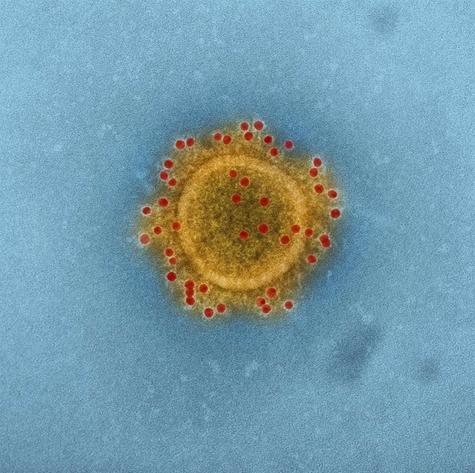 Brasil.- Brasil estudia tres posibles casos de coronavirus 
