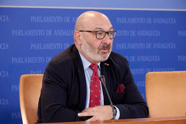 El portavoz parlamentario de Vox, Alejandro Hernández, en rueda de prensa en el Parlamento andaluz. Imagen de archivo.