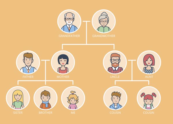 Tipos de árbol genealógico: cuál es el mejor para tu propósito