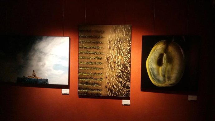 El Centro Fundación Caja Rioja-Bankia La Merced acoge la exposición de fotografías El Rioja y los 5 Sentidos