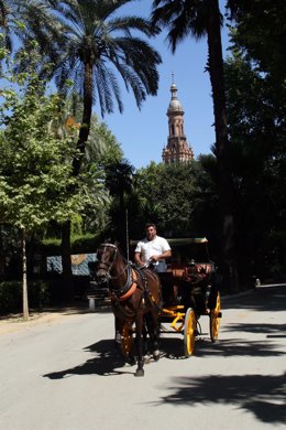 Coche De Caballos En Sevilla