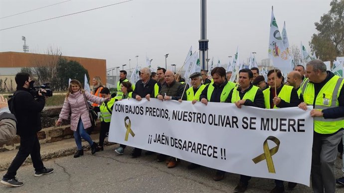 Protesta convocada por l organizaciones agrarias por los precios del aceite en Jaén