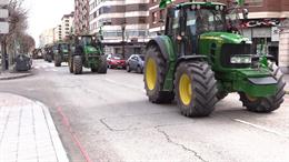 Más de 400 agricultores y ganaderos se concentran en Burgos ante la falta de rentabilidad de sus explotaciones Concentración de agricultores y ganaderos en Burgos.