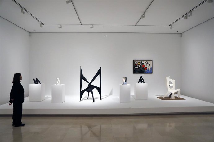 Varios personas contemplan la nueva exposición de  'Calder-Picasso', en el Museo Picasso de la capital