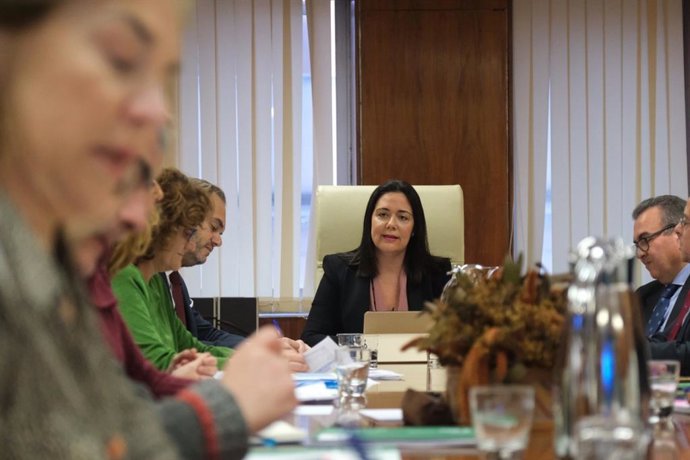 Reunión este jueves del grupo de trabajo sobre entes instrumentales que coordina la Secretaría General de Regeneración, Racionalización y Transparencia, Nuria Gómez.