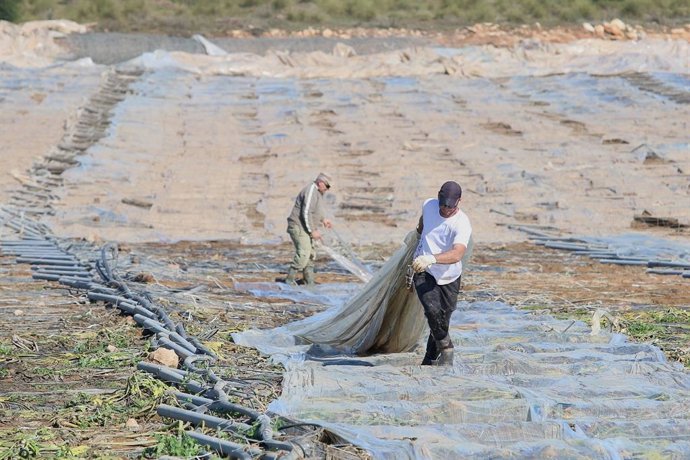 Almería.-Planas ve posible aplicar fondos Feader para reconstruir los invernader