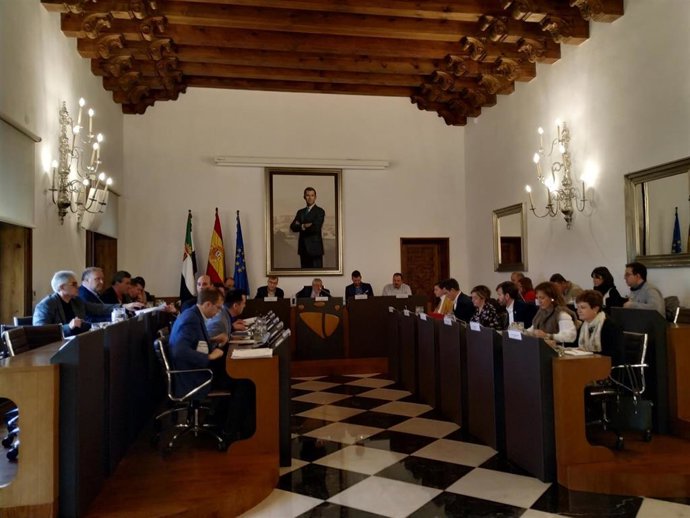 Pleno ordinario del mes de enero en la Diputación de Cáceres