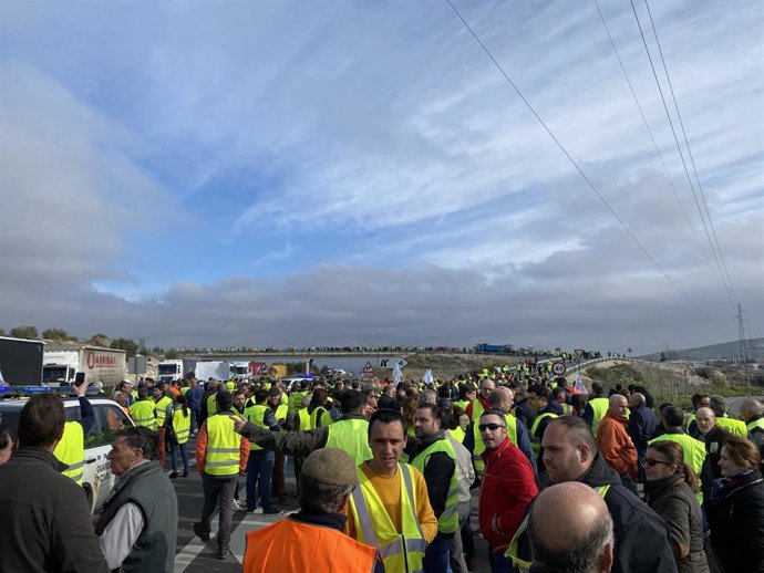 Jaén.- El PP-A reclama junto a los olivareros "lealtad y defensa de nuestros pro