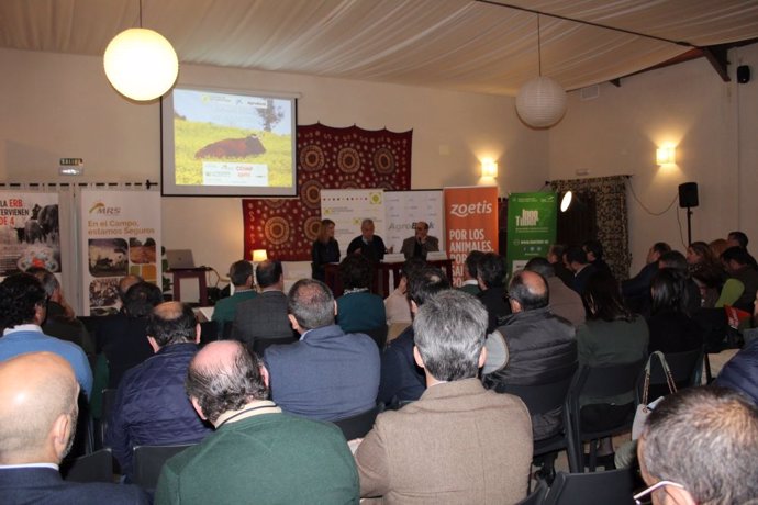 Sevilla.- Jornada de Cooperativas Agro-alimentarias apunta a la unión del sector