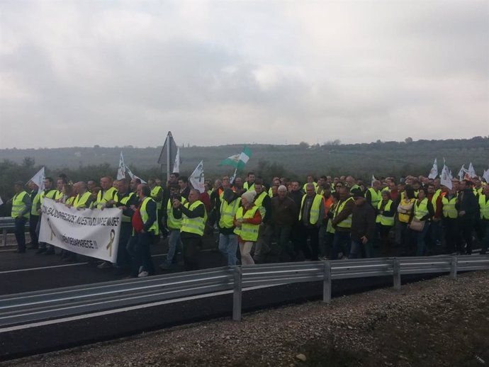 Jaén.- Olivareros colapsan las carreteras principales de la provincia para exigir precios justos para el aceite de oliva