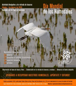 Cartel de la actividad.