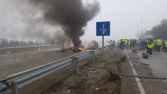 Jaén.- Sucesos.- En libertad los dos detenidos por los altercados en el corte de