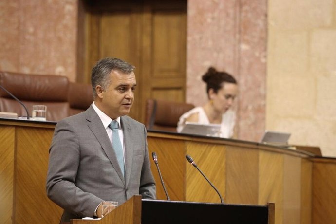 El parlamentario de Ciudadanos (Cs) por Málaga, Javier Pareja.