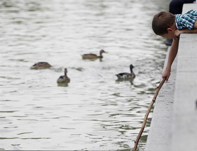 Sol, calor, temperaturas, buen tiempo