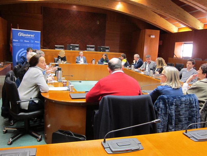 Reunión de los diputados del grupo del PP en las Cortes de Aragón.