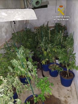 Sucesos.- Detienen a una mujer por vender marihuana a estudiantes en Llucmajor