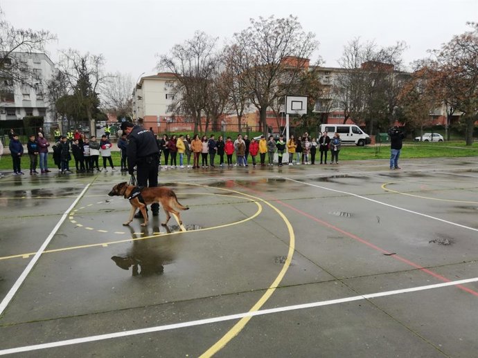 Exhibición de medios policiales y de emergencia en el CEIP José María Calatrava de Mérida