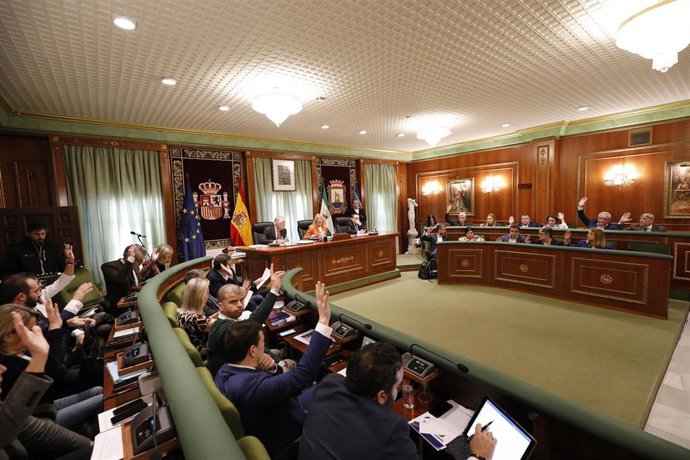 Pleno del Ayuntamiento de Marbella