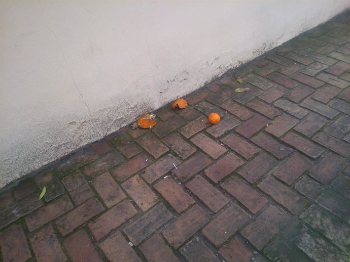 Una familia afronta una multa de hasta 750 euros por "continuo lanzamiento de naranjas" de su hijo a una casa.