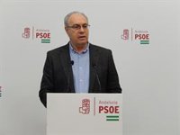 PSOE-A pide a Moreno que "deje el lamento y la confrontación" y busque soluciones ante los bajos precios en origen
