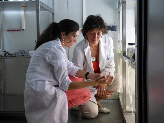 Marta Vila y Rosa León, autoras de este estudio.