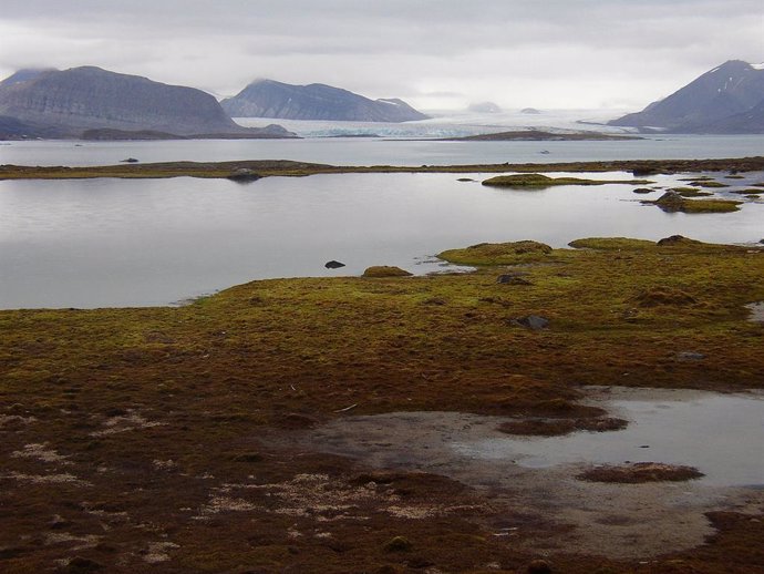 El Ártico en alerta a medida que el paisaje se hace más verde