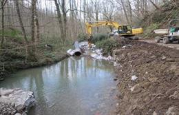 Cauce del río Landarbaso en Astigarraga