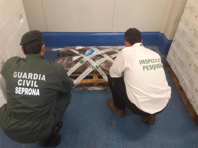 Pescado intervenido por la Guardia Civil