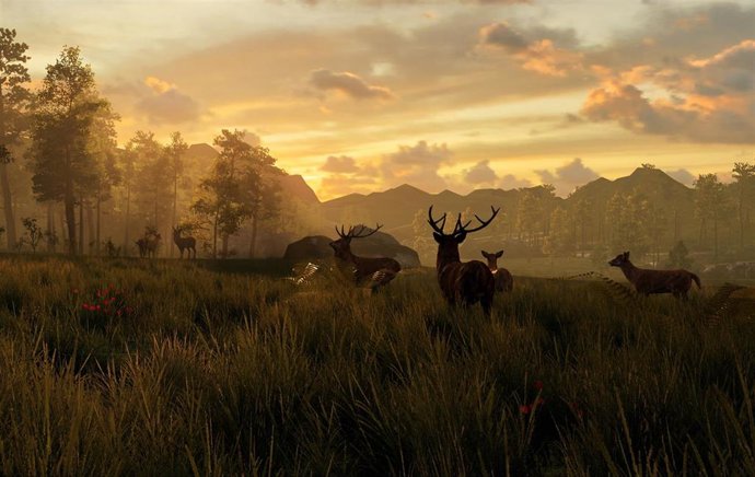 Ndp Y Fotos La Revista Forbes Elije Memoria: Historias De La Garma, Entre Las 50 Mejores Experiencias Del Mundo En Realidad Virtual