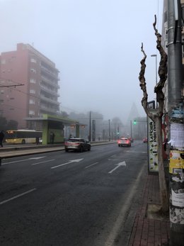 Murcia amanece en invierno con niebla, nublado, heladas y frío