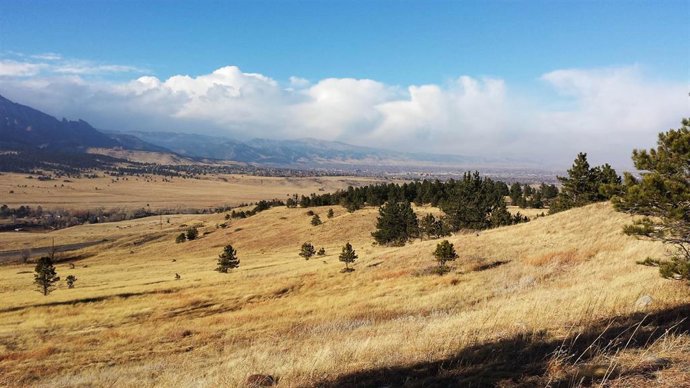 La biodiversidad del suelo es fundamentla para mantener ecosistemas terrestres sanos a escla global, según la UPO
