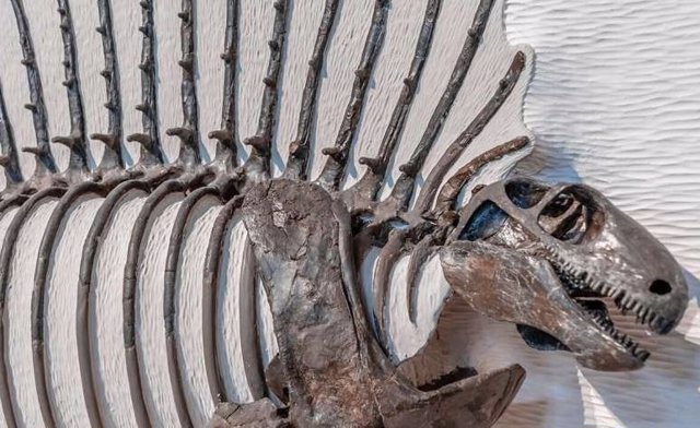 Edaphosaurus, un sinápsido precursor extinto de los mamíferos