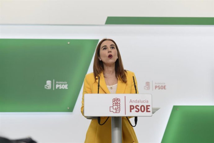 La portavoz de Educación del Grupo Parlamentario Socialista y secretaria de Políticas Migratorias y Andaluces en el Exterior del PSOE de Andalucía, Beatriz Rubiño, en una rueda de prensa.