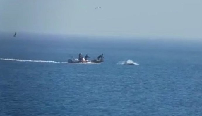 Vídeo que denuncia una persecución a delfines en el Saler