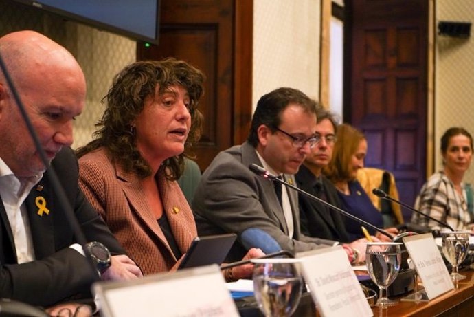 La consellera d'Agricultura, Ramaderia, Pesca i Alimentació de la Generalitat, Teresa Jord, en comissió parlamentria, 4 de febrer del 2020.