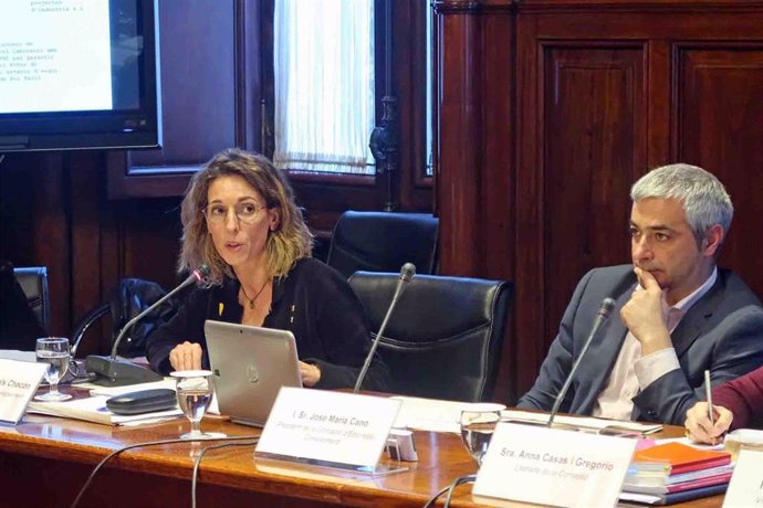 La consellera de Empresa y Conocimiento de la Generalitat, ngels Chacón, comparece en el Parlament, el 4 de febrero de 2020.