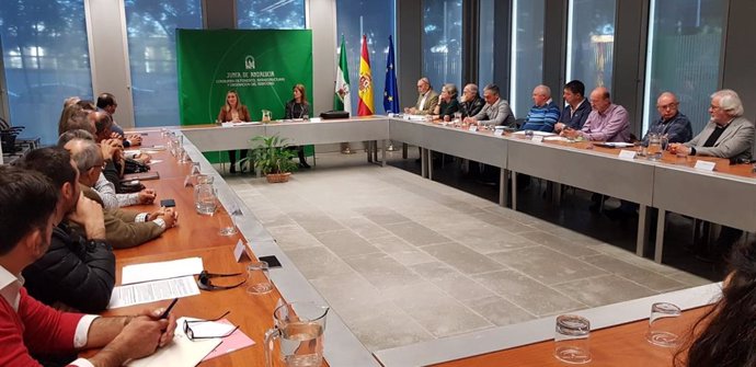 Reunión entre la consejera de Fomento, Infraestructuras y Ordenación del Territorio, Marifrán Carazo, y asociaciones de afectados por la problemática de las viviendas irregulares en Andalucía
