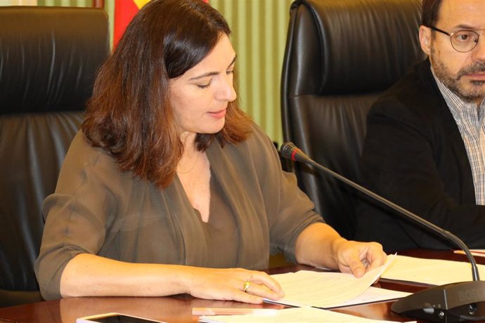 La delegada de Presidencia para la Cultura, Catalina Solivellas, en el Parlament