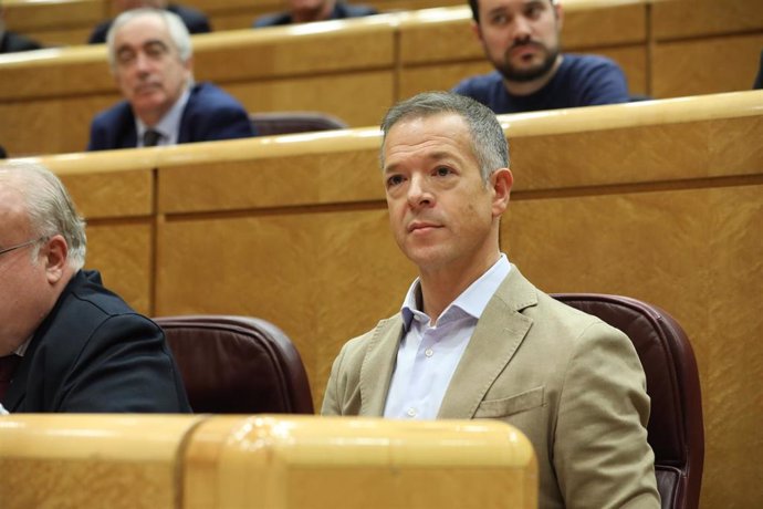 El portavoz del PSOE en el Senado, Ander Gil, durante la sesión de constitución de la Diputación Permanente del Senado y elección de la Mesa del mismo para  la XIV Legislatura, en Madrid (España), a 8 de enero de 2020.