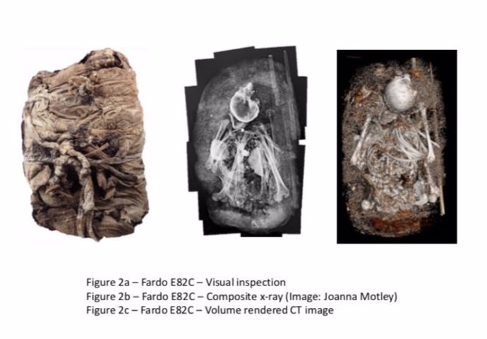 Antiguas momias peruanas, al descubierto con lo último en rayos X